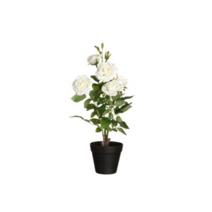 4Living Rozes puķu podā m-ziedi 49cm