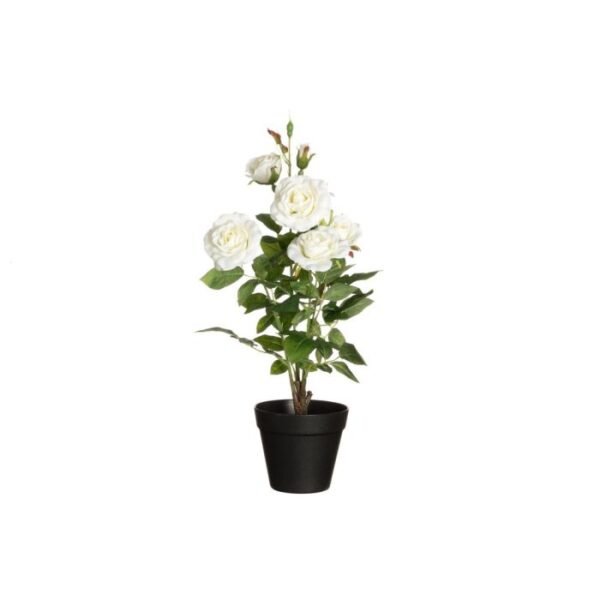 4Living Rozes puķu podā m-ziedi 49cm