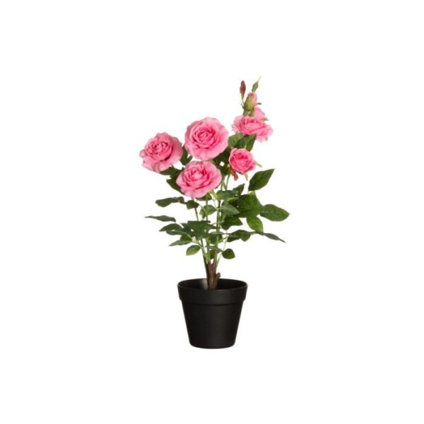 4Living Rozes puķu podā m-ziedi 49cm - Image 3