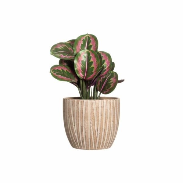4Living Puķu pods Paralia 25cm - Image 2