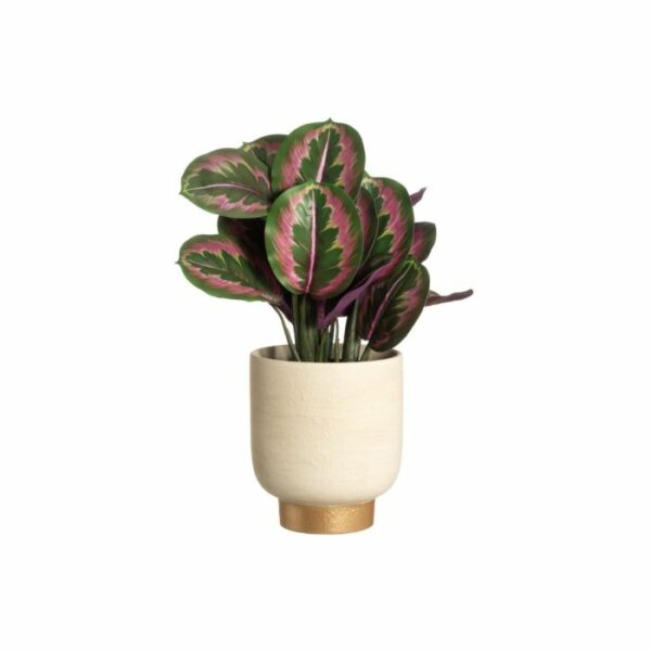 4Living Puķu pods Royal 18cm - Image 2