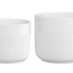 4Living puķupods Aralia balts