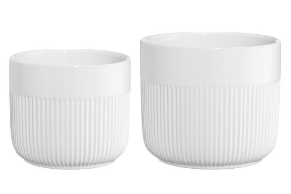 4Living puķupods Aralia balts