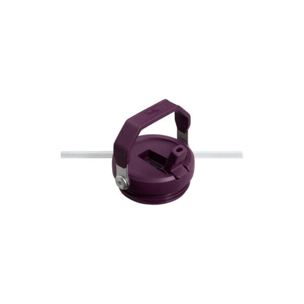Termopudele ar salmiņu,The IceFlow Flip Straw Tumbler 0.89L, oranža - Image 2
