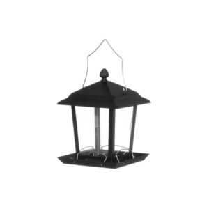 Tintti putnu barotava