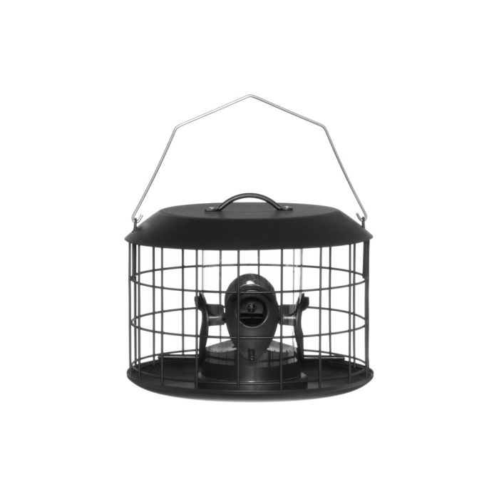 Tintti putnu barotava