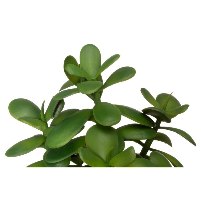 4Living mākslīgais augs - Naudas koks - Image 2